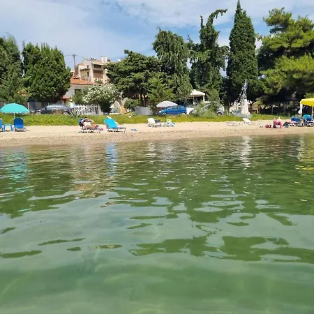 Christina-anna Seaside Luxury House Nikiti (Sithonia)